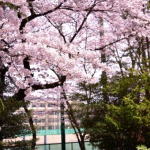 校舎