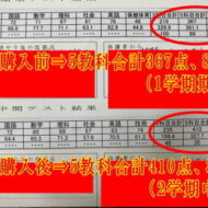 成果報告
