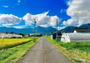 田舎