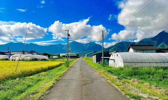 田舎
