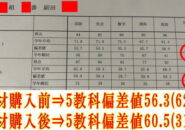 成果報告
