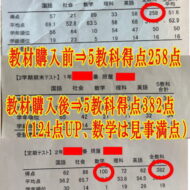 成果報告