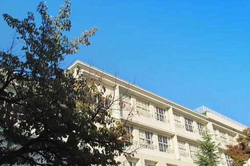 学校